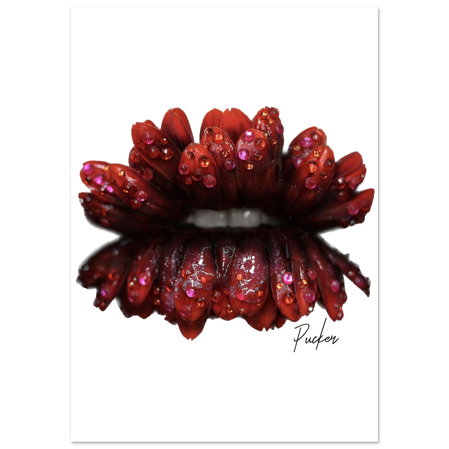 Petal Pout Premium Matte Poster